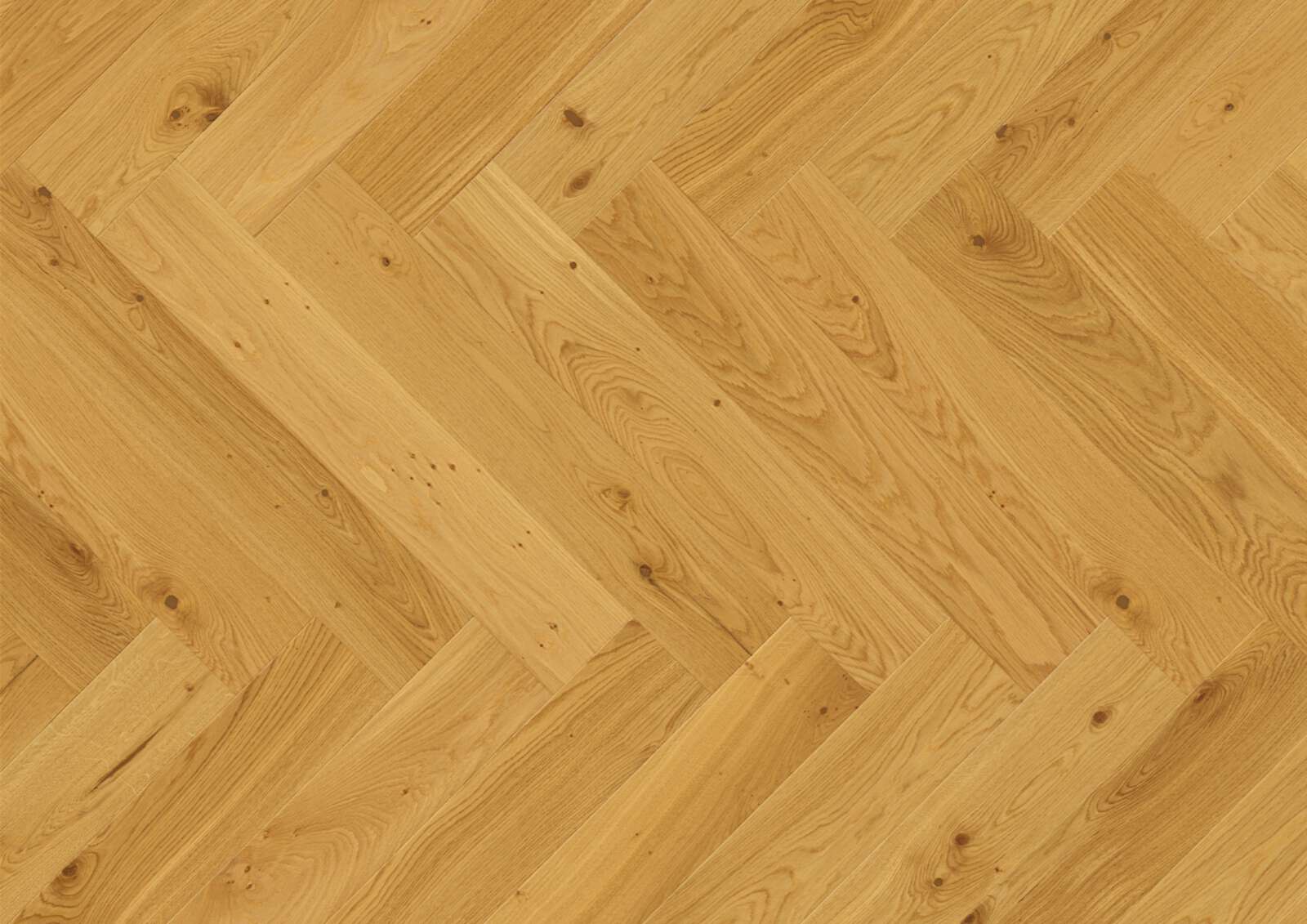 Herringbone Flooring Bauwerk Vectorpark Oak Nature 35 oiled brushed