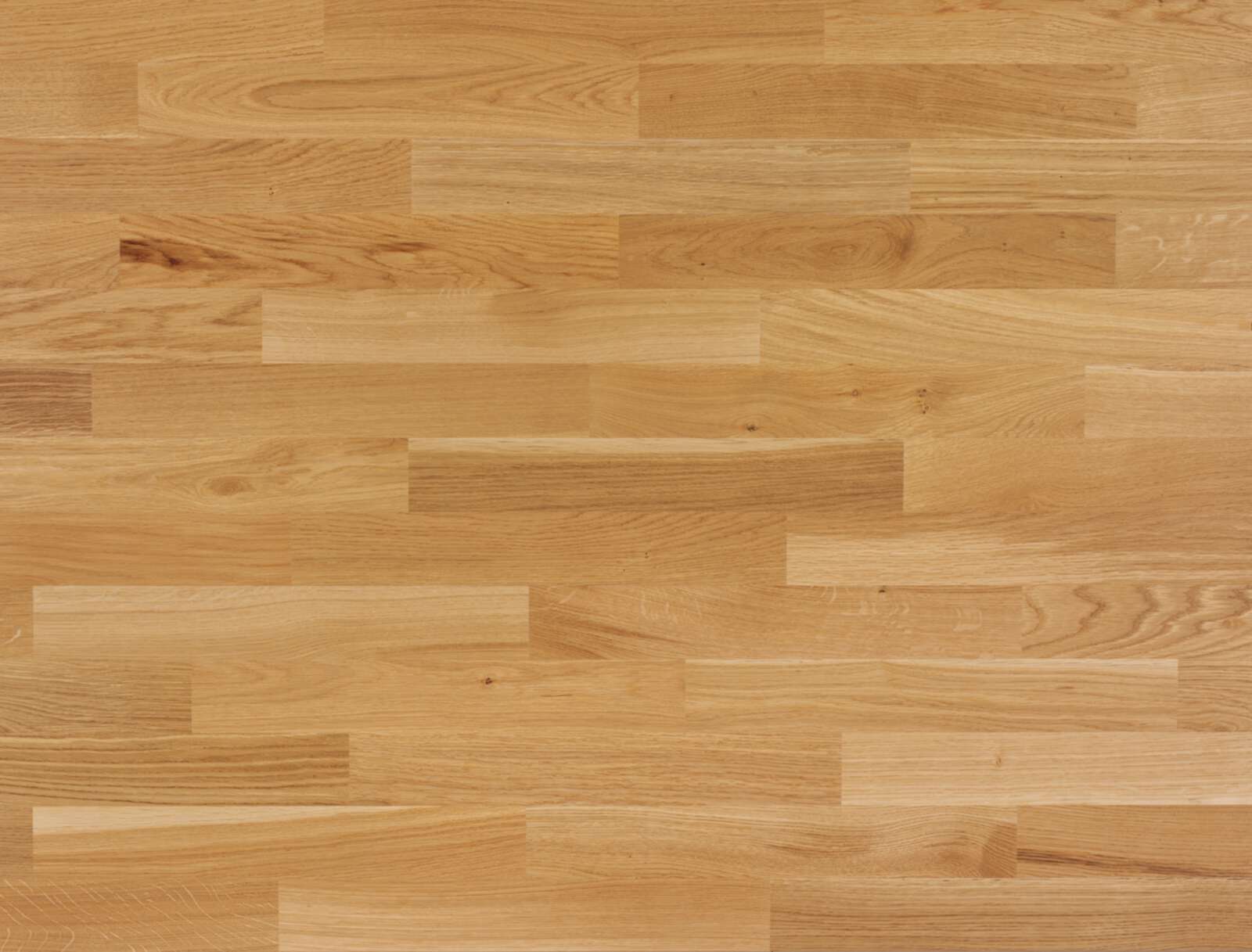 Herringbone Flooring Bauwerk Monopark Oak Nature 15 matt lacquered sanded