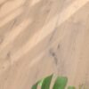 Parquet floor Oak Rustical 1-strip 4 sides beveled brushed white oiled – 4