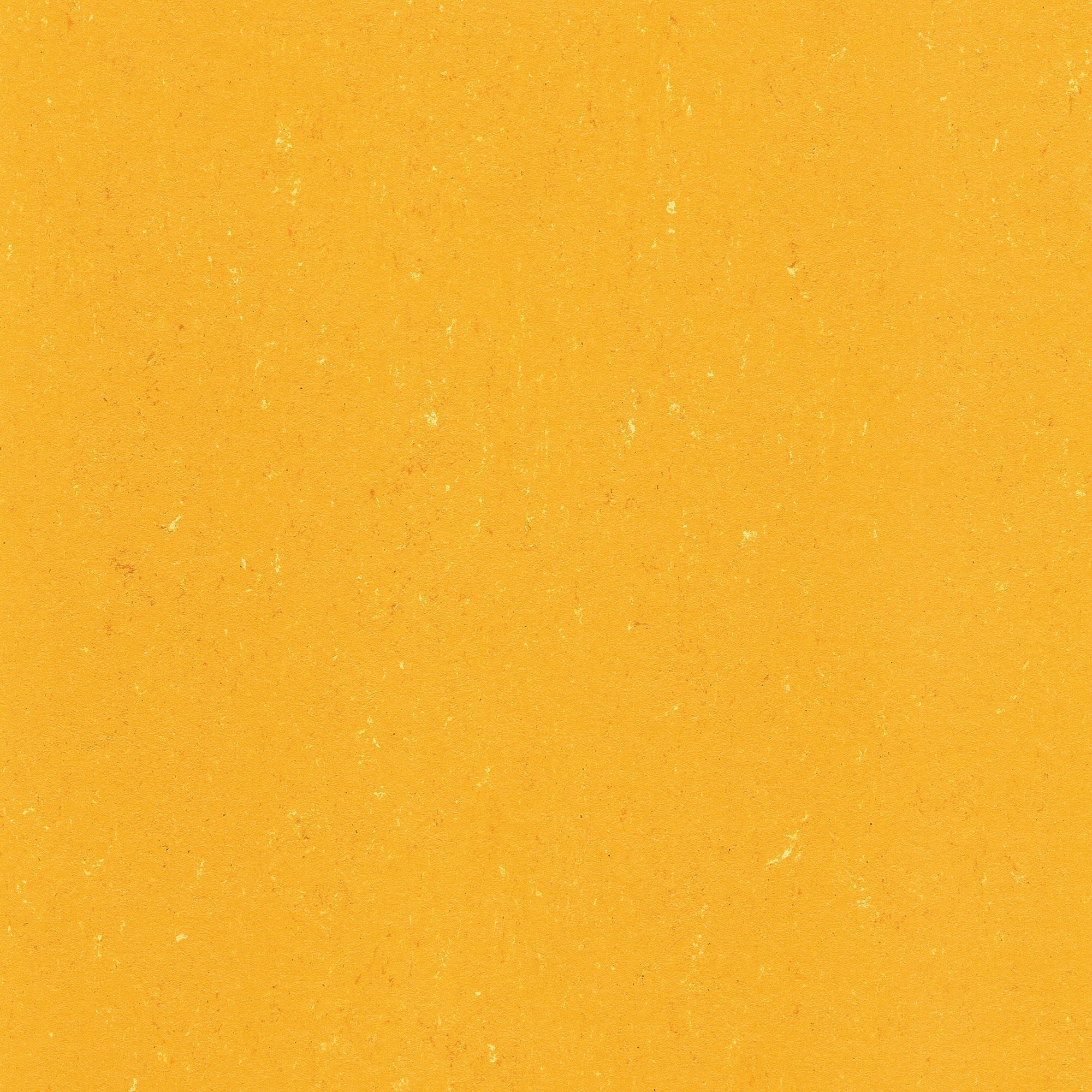 Linoleum floor Gerflor Colorette 0171 Sunrise Orange