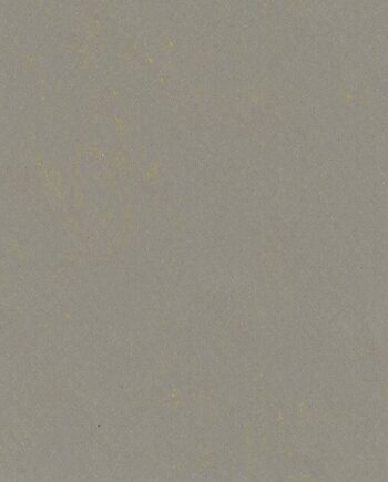 Linoleum floor Gerflor Lino Art Urban 0551 Flashy Asphalt Grey