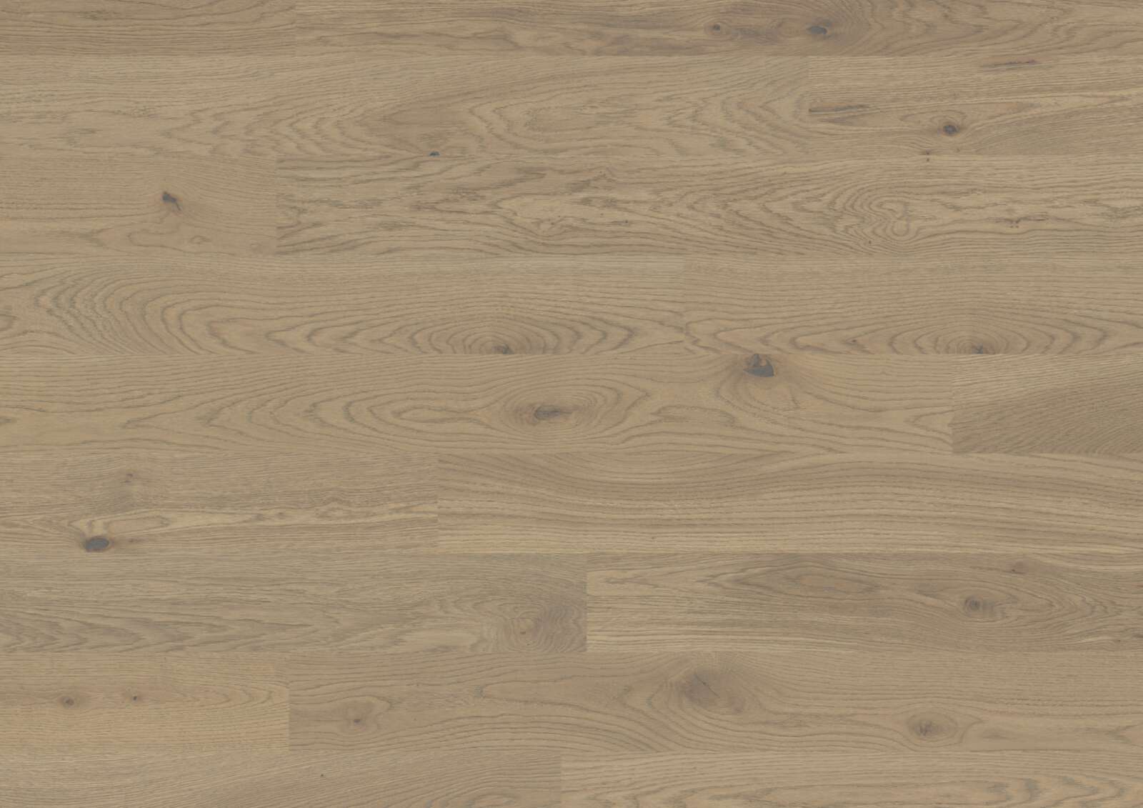 Wooden Flooring Bauwerk Trendpark 1390 Oak Sasso 46 oiled brushed