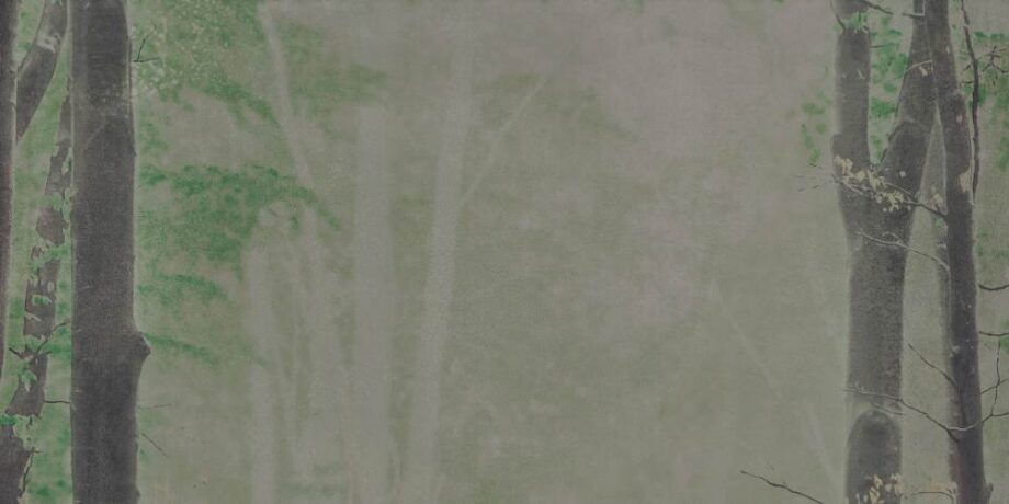 Patterned decorative porcelain tile ABK Wide&Style Woods B, 120×240 cm (4 x 60×120 cm), 8.5 mm, matt Patterned decorative porcelain tile ABK Wide&Style Woods B, 120x240 cm (4 x 60x120 cm), 8.5 mm, matt