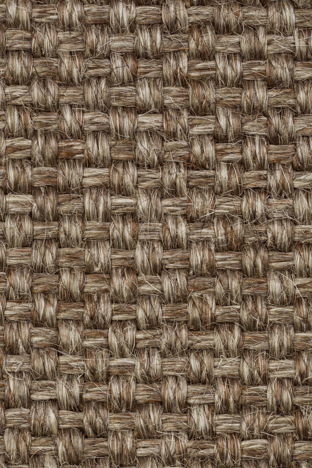 Sisal Carpet Tasibel Colora 2852/20