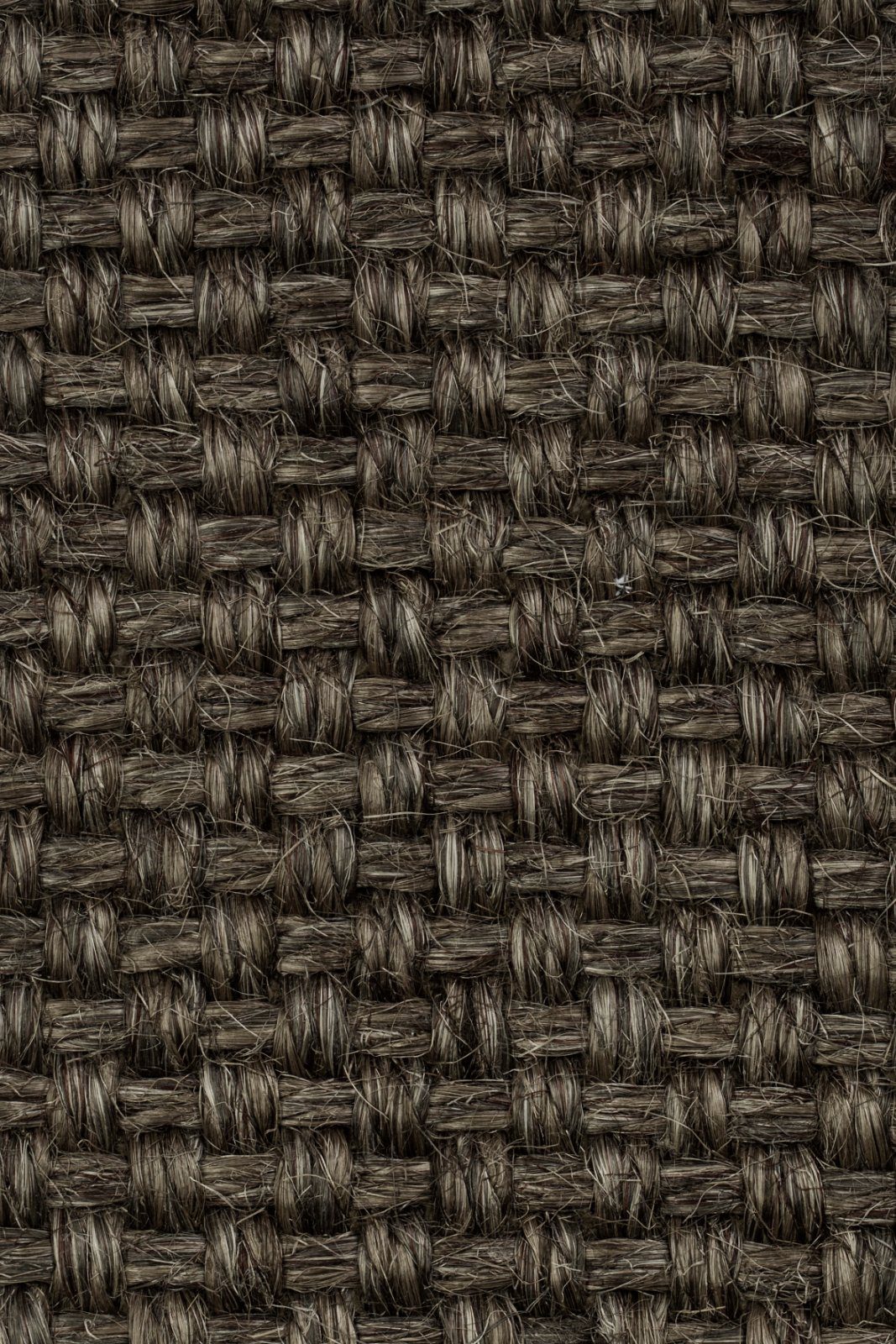 Sisal Carpet Tasibel Colora 2853/20