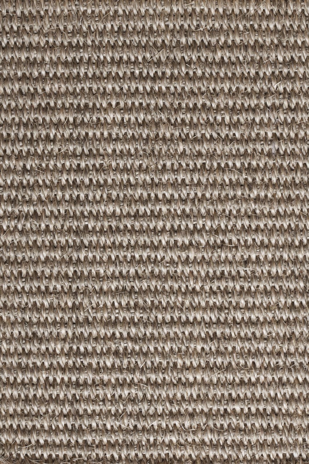 Sisal Carpet Tasibel Urban Plus 2218/21