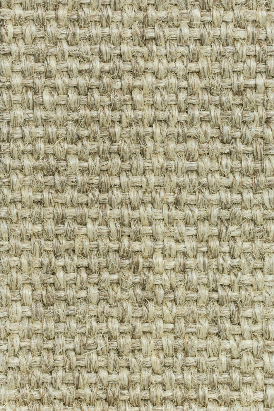 Sisal Carpet Tasibel Allegro 2813/20