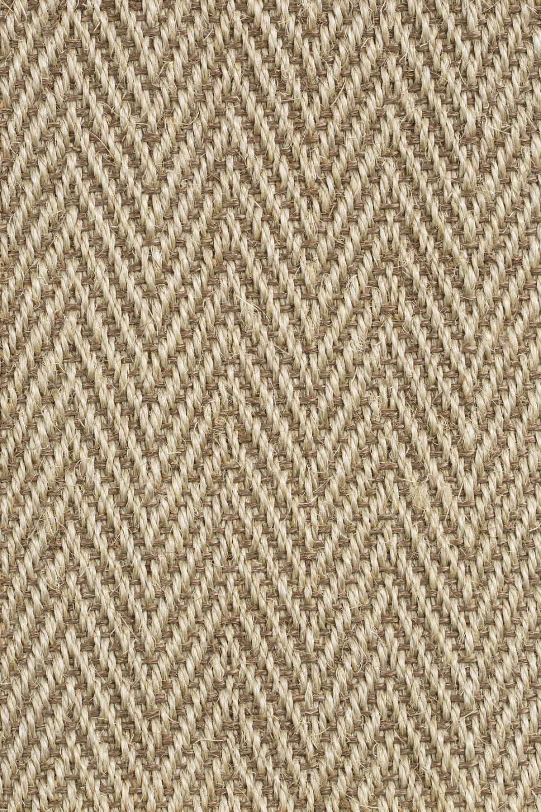 Sisal Carpet Tasibel Bellevue 1411/21