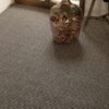 Sisal Carpet Tasibel Bhutan – view 3 Sisal Carpet Tasibel Bhutan 2504/20 – 3