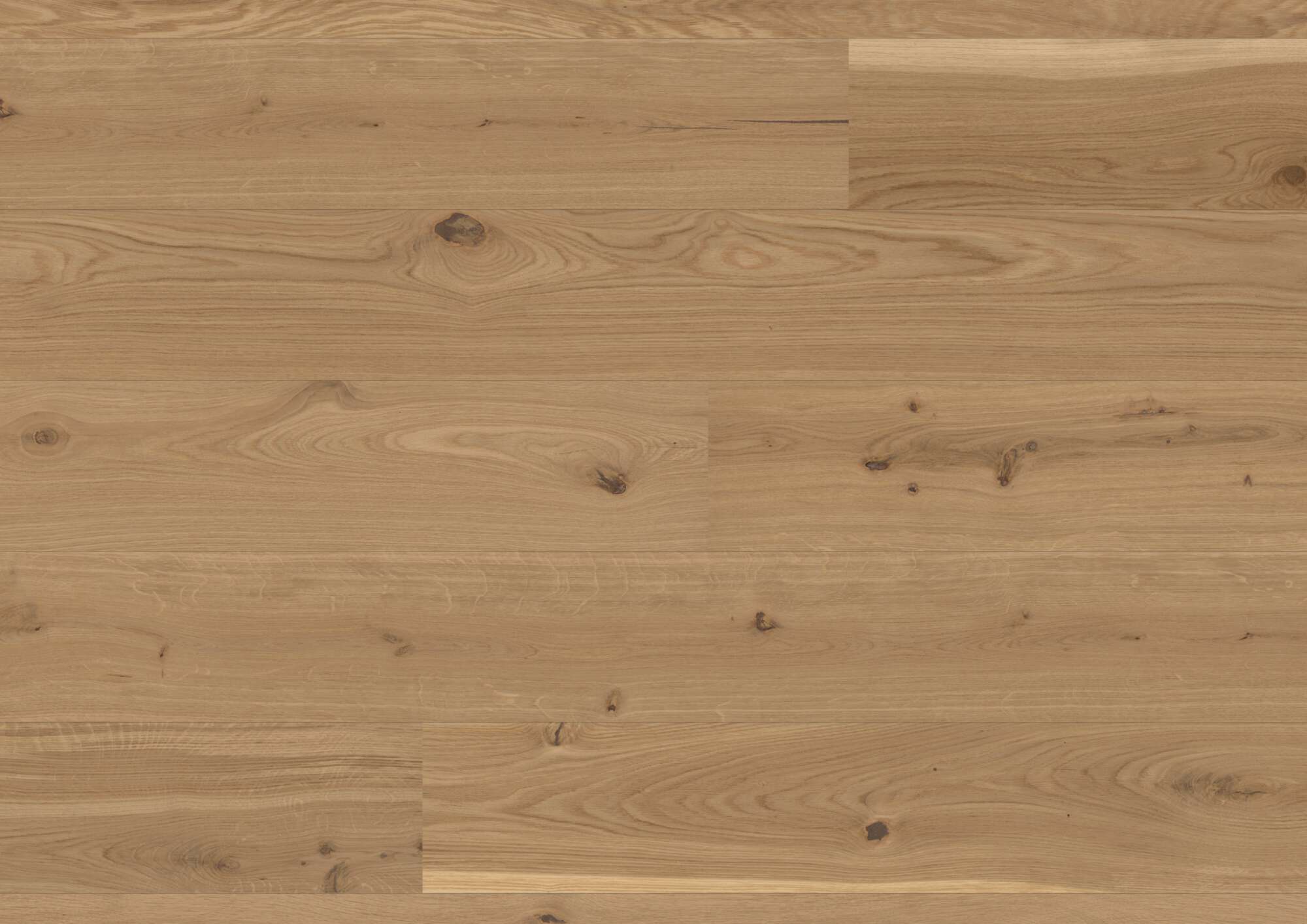 Tammeparkett Bauwerk Casapark tamm 46 Avorio harjatud õlivaha 209mm