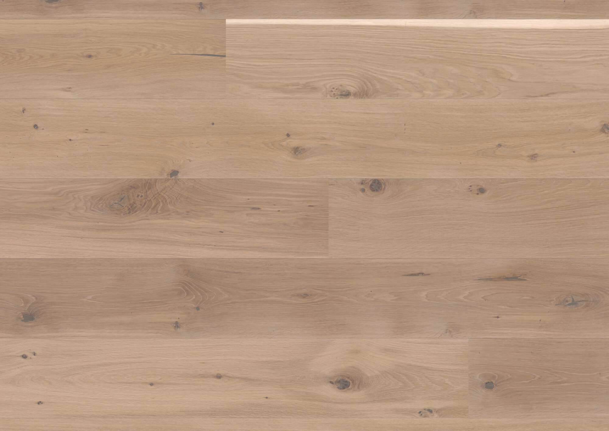 Tammeparkett Bauwerk Casapark tamm 46 Farina harjatud õlivaha 209mm
