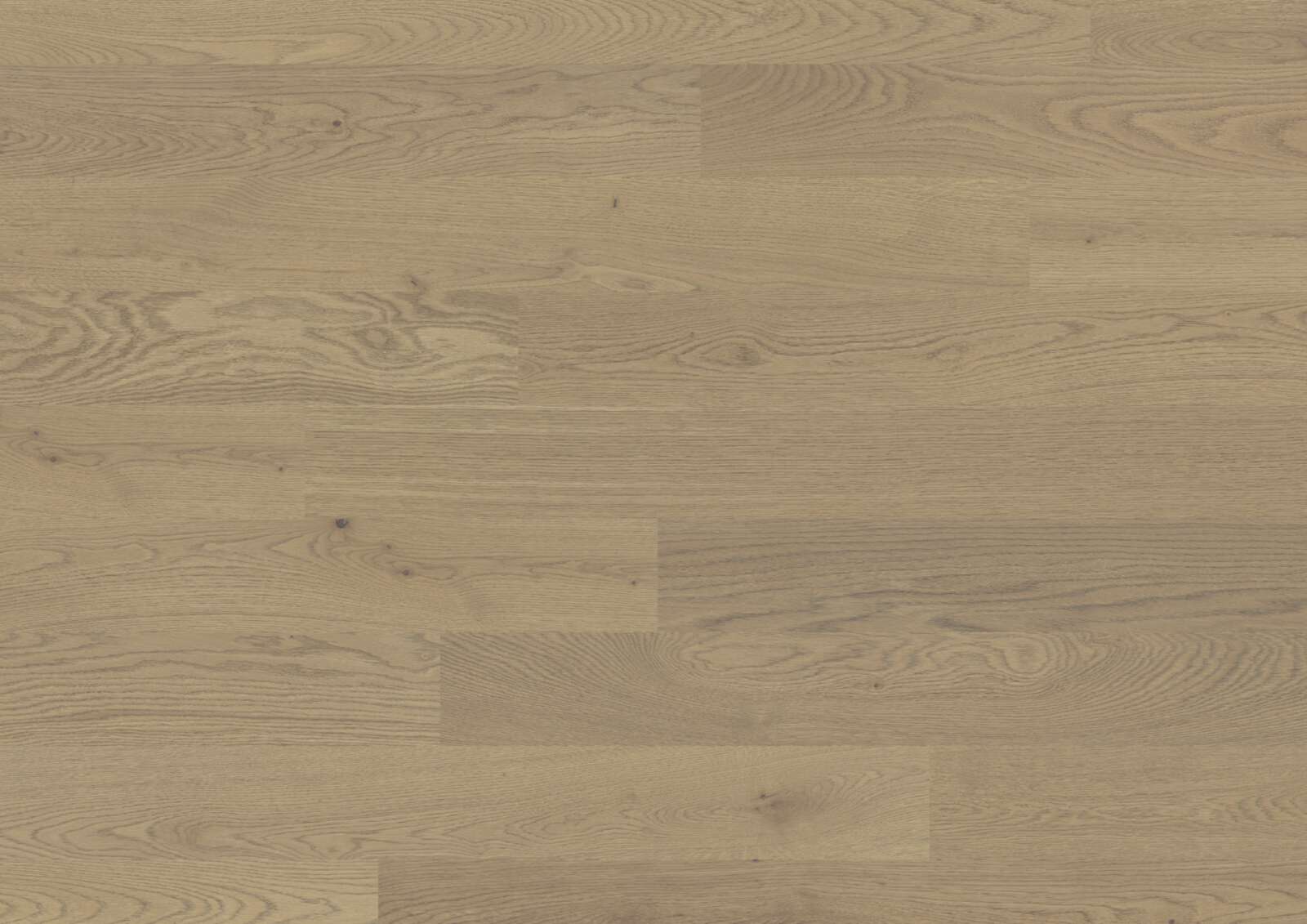 Engineered Wooden Flooring Bauwerk Trendpark 1390 Oak Sasso 24 oiled