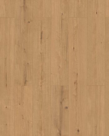 Waterproof laminate flooring Oak Moritzburg XXL, 10 mm, 33/AC5