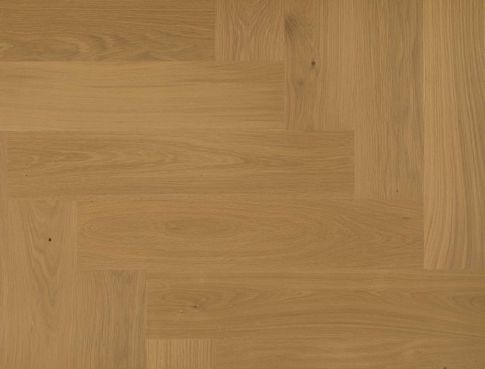 Wooden Flooring Bauwerk Formpark Quadrato Oak Caramello 14 oiled sanded