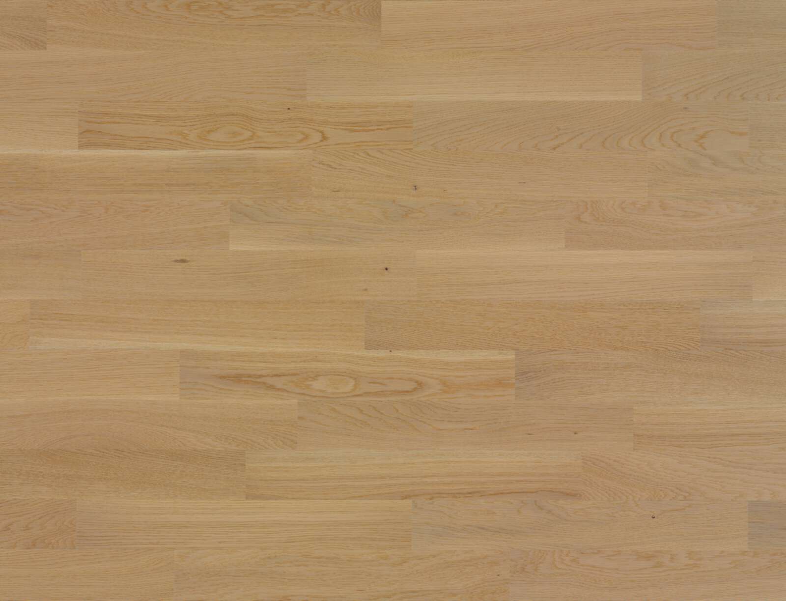 Wooden Flooring Bauwerk Monopark Oak Caffelatte 15 matt lacquered sanded